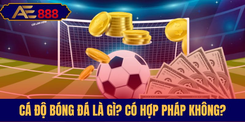 Giải thích và tính pháp lý cá độ bóng đá