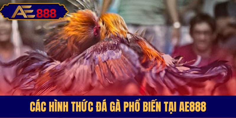 Các loại hình đá gà thịnh hành tại AE888