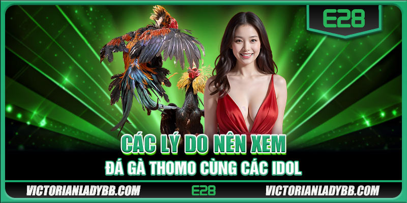 Các lý do nên xem đá gà Thomo cùng các idol