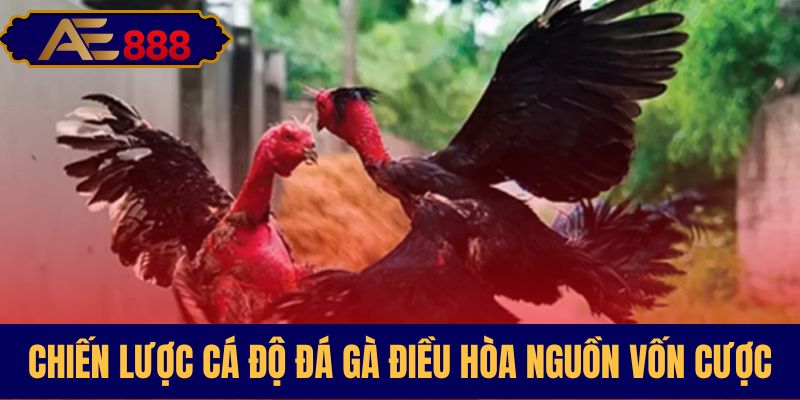Kỹ năng kiểm soát vốn cược hiệu quả