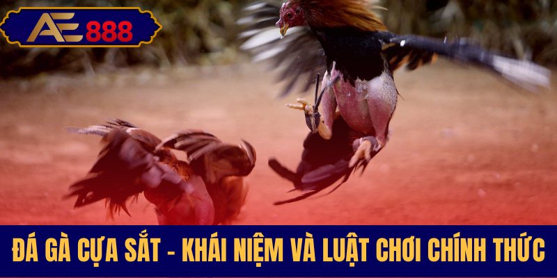 Luật chơi và những điều căn bản cần biết