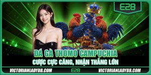 Đá gà Thomo Campuchia