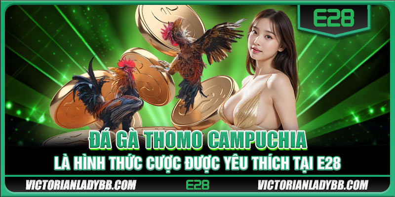 Đá gà Thomo Campuchia là hình thức cược được yêu thích tại E28