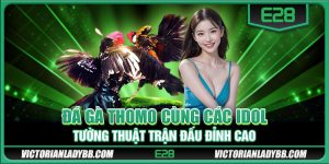 Đá Gà Thomo Cùng Các Idol