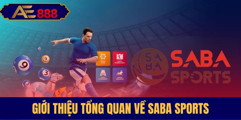 Tìm hiểu thông tin chung về sảnh SABA