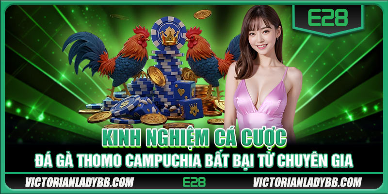 Kinh nghiệm cá cược đá gà Thomo Campuchia bất bại từ chuyên gia 