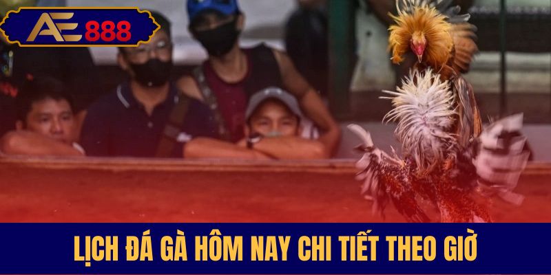 Thông tin giờ đấu cụ thể tại Thomo
