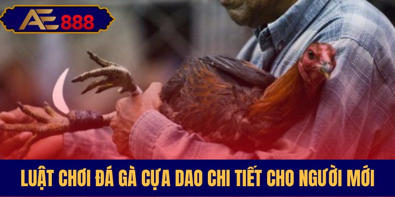 Quy định thi đấu cần biết rõ