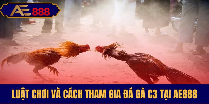 Quy định thi đấu cách dự giải C3 AE888