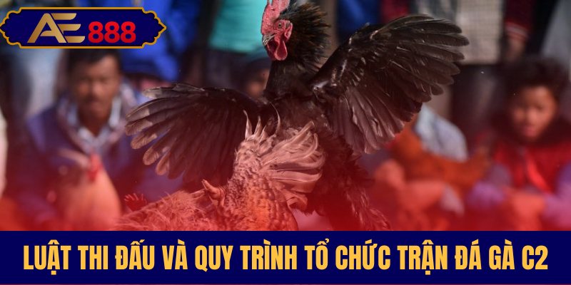 Tìm hiểu luật lệ giải C2 chuyên nghiệp