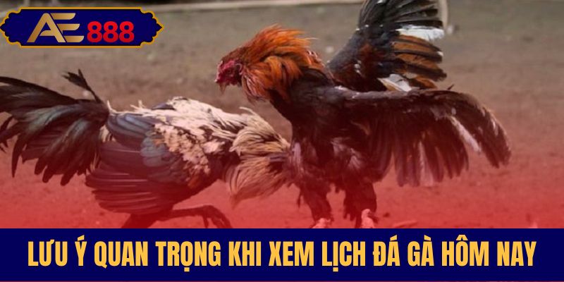 Điểm cần nhớ khi theo dõi lịch đấu