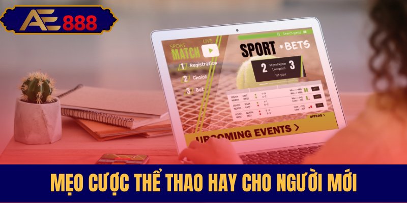 Chia sẻ hữu ích từ chuyên gia cho tân binh