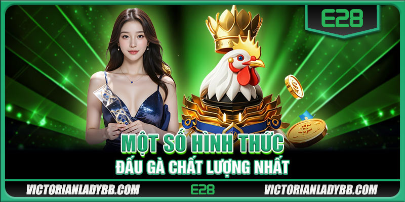 Một số hình thức đấu gà chất lượng nhất