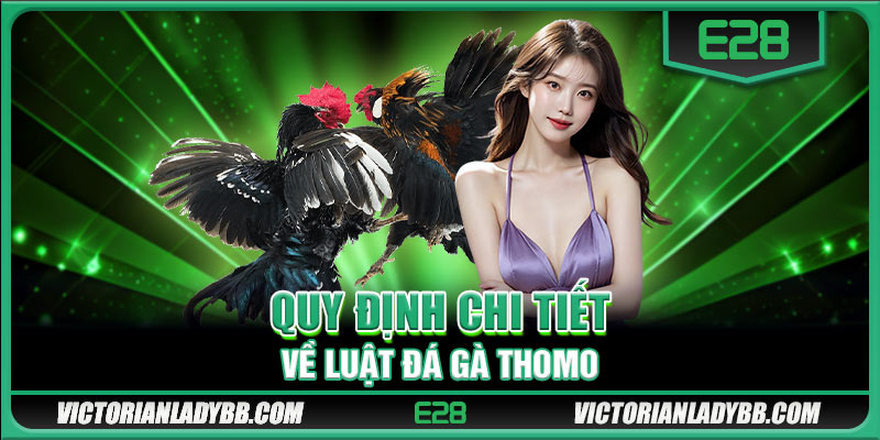 Quy định chi tiết về luật đá gà Thomo 
