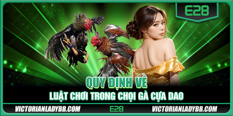 Quy định về luật chơi trong chọi gà cựa dao 