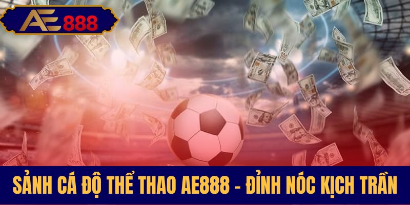 Không gian cược thể thao sôi động tại AE888