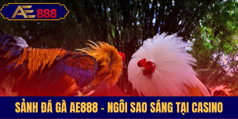 Sảnh cược đá gà AE888 dẫn đầu đẳng cấp