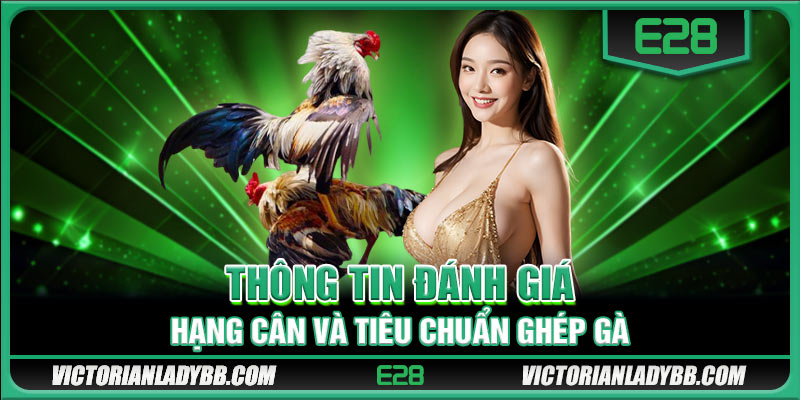 Thông tin đánh giá hạng cân và tiêu chuẩn ghép gà