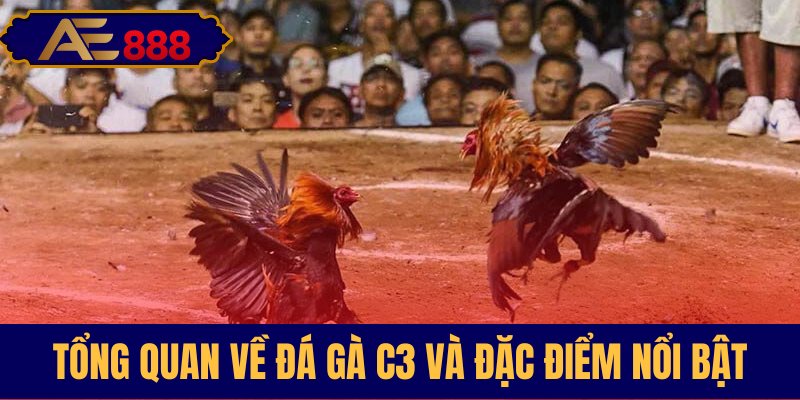 Thông tin chung và điểm đặc sắc giải C3