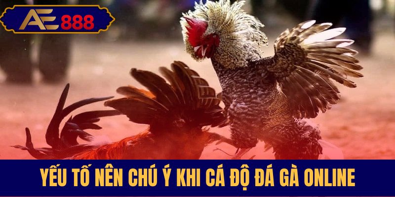 Những lưu ý quan trọng trước khi bạn đặt cược